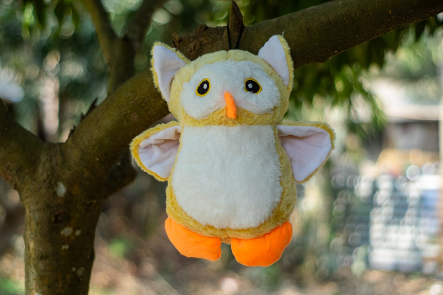 Sunny Hoot
