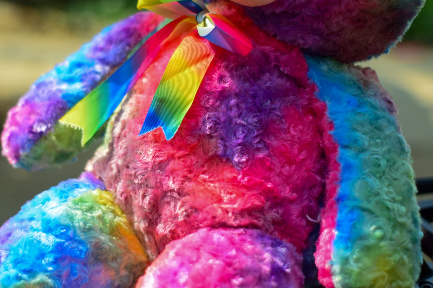 Rainbow Bliss Bear